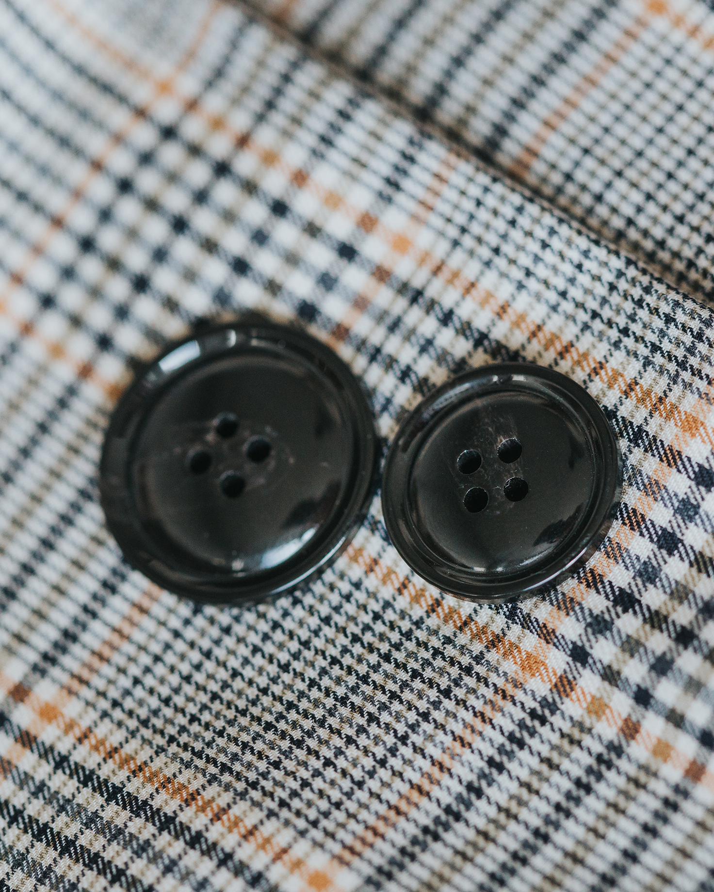 Autumn / Winter 2015/16