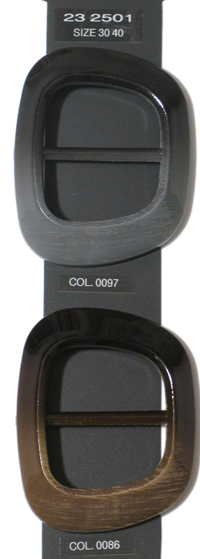 Buckle 232501