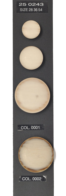 Shank button 250243