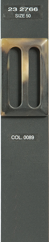 Buckle 232766