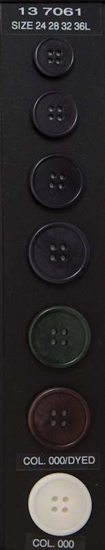 Button 137061