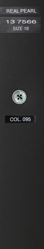 Button 137566