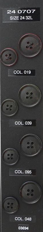 Button 240707