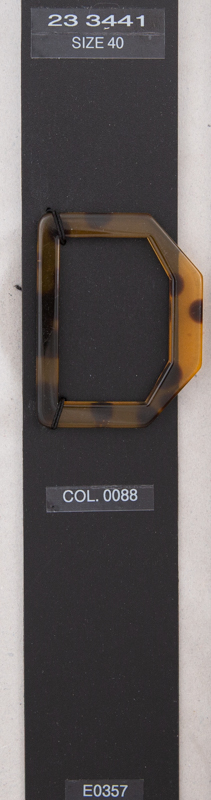 Buckle 233441