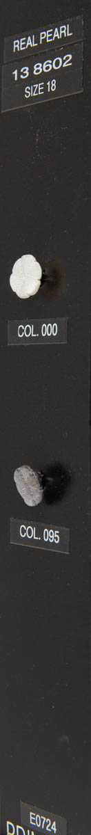Shank button 138602