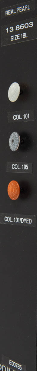 Shank button 138603
