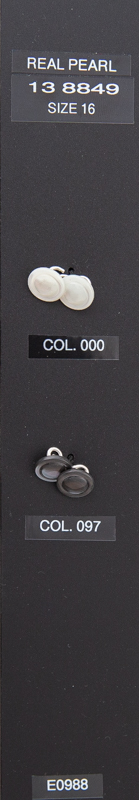 Shank button 138849