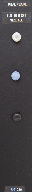 Shank button 138851