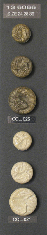 Shank button 136066