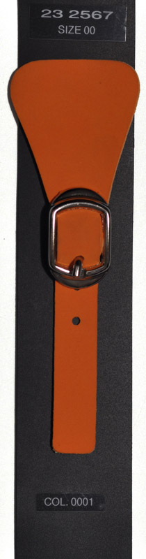 Closure, hook and eye 232567