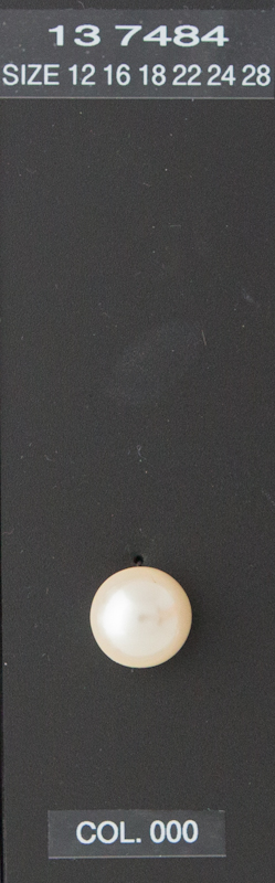 Shank button 137484