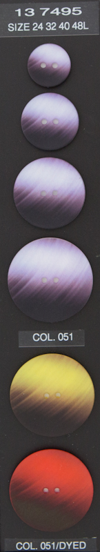 Button 137495